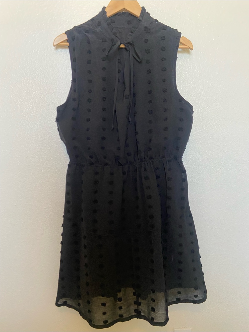 Source Unknown Black Sleeveless Swiss Dot Tie-Neck Dress
